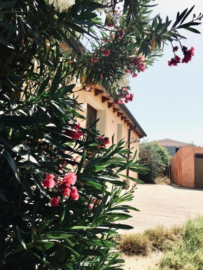 Agriturismo Funtan'Arva Loculi Eksteriør billede